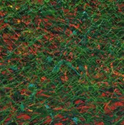 Feel the grass beneath your feet
